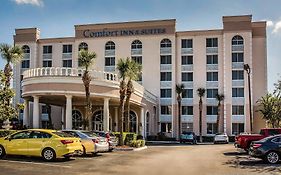 Comfort Suites Lakeland Florida